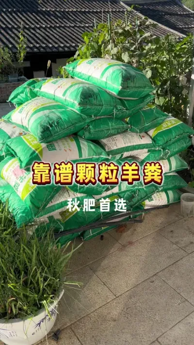 我竟然因为一堆羊粪产生了一种富裕的错觉，从来没有打过这么富裕的仗，想给葡萄上秋肥就给葡萄上，想给无花果上秋肥就给无花果上&hellip;&hellip;#秋施基肥#葡萄#盆栽葡萄#种植小技巧 #贝子的盆栽小果园