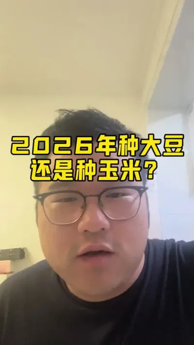 2026年种大豆还是种玉米？ #玉米种植 #大豆种植 #科学种田