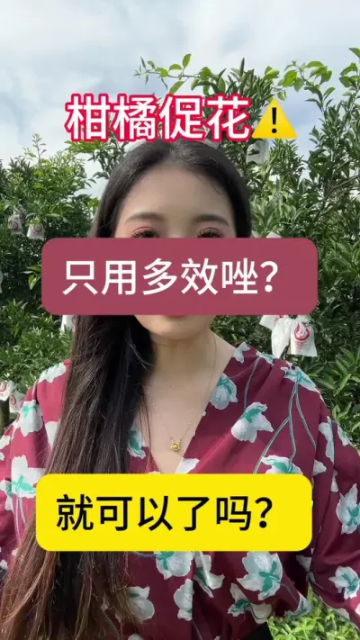 柑橘促花只用多效唑就可以了吗？#果树 #柑橘种植 #果农 #柑橘促花