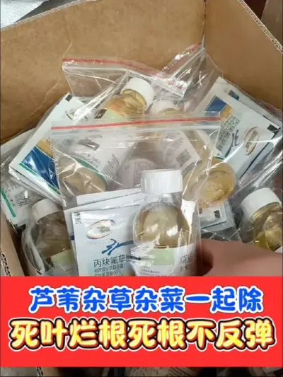 芦苇杂草杂菜死光光 一套搞定芦苇杂草，死草烂根彻底不反弹，下茬可以放心种#除草剂 #除草 #农资肥料 #抖音助农 #除草剂配方