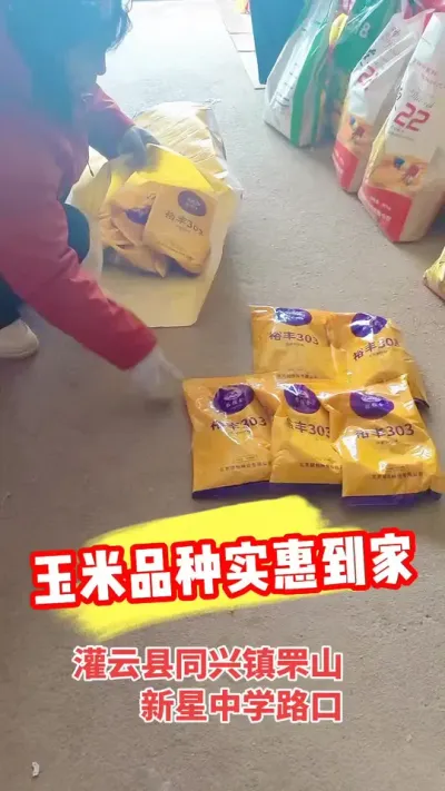 优秀高产玉米品种实惠到家，抢到就是赚到 #裕丰303 #华农658 #隆创310 #高产玉米种子 #农资肥料