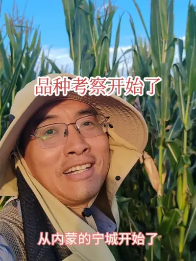 #新农人计划 #三农种植 #飞翔的迪卡玉米 2025年品种考察开始了，一年一年的真快。