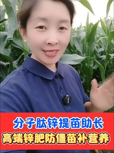 正品分子肽锌提苗助长抗逆提质增效 大厂正品分子肽锌，一亩不到2块钱，适合各种农作物使用，抢到就是赚到#锌肥 #锌肥的正确使用方法 #农资肥料 #农业种植 #玉米种植