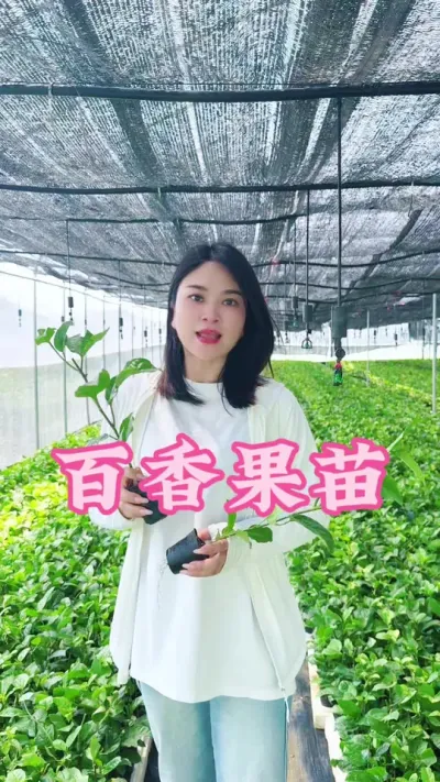 想要百香果大丰收，种苗选择很关键，纯种的一代母本苗是你们的首选！#乡村守护人 #三农 #新农人计划 #抖音助农 #百香果@抖音小助手 @DOU+小助手