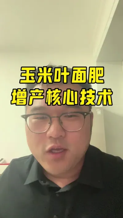 玉米叶面肥核心技术 #玉米种植技术 #玉米叶面肥