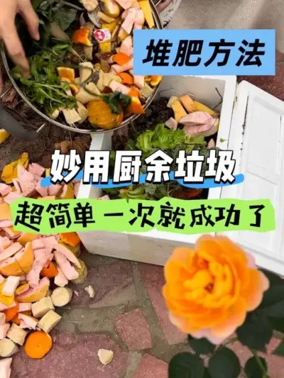 把土养肥才是种好菜的关键！包括种草莓🍓 种啥都种不活的一般都是土出了问题，相信我把土养肥后不管种啥都跟玩儿似的嘎嘎长啊😂#阳台种菜 #堆肥方法 #厨余垃圾 #三明治堆肥法 #养土