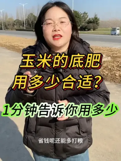 玉米的底肥用多少合适，一分钟告诉你#三农 #农业种植 #高产玉米种子 #服务三农支持三农 #玉米种子