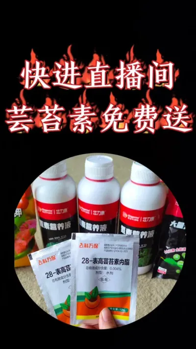 快来直播间，福利开抢喽#农资肥料 #三农种植 #小麦 #农业 #小麦种植