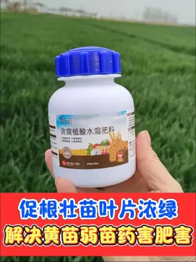 小胖子生根壮苗促返青分蘖，解药害肥害 一瓶只要8块8，促新根，壮分蘖，解决黄苗弱苗不长#生根壮苗 #黄叶变绿 #叶面肥 #农资肥料 #农业种植