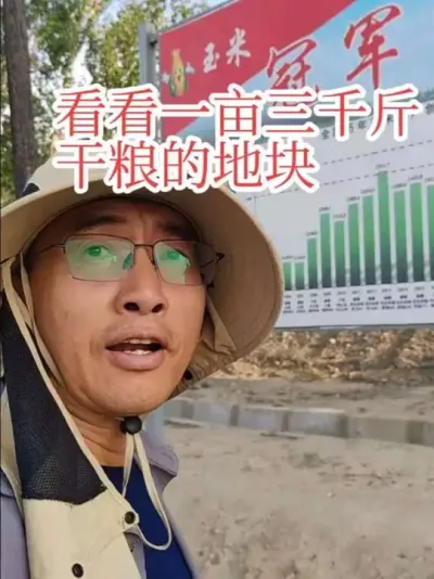 #飞翔的迪卡玉米 #丰收季 #农业种植技术 在新疆奇台看看打出中国玉米最高产量的地块