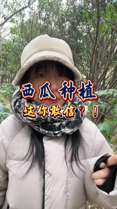 #西瓜种植 #西瓜管理 #增产增收 西瓜大王高产秘诀