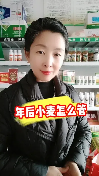 小麦年后三个重要管理时期 #小麦种植 #小麦管理 #小麦管理技术 #农资肥料 #农业种植