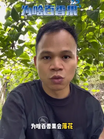 为啥百香果会滑花落果呢？#种百香果 #百香果种植技术