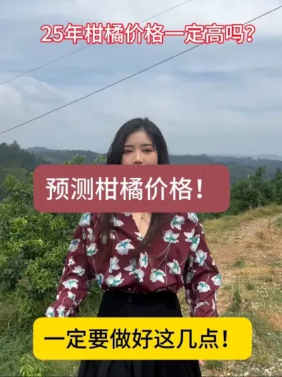 斗胆猜测一下今年柑橘价格！当市场供不应求的时候价格势必会上去！一定要提升果实商品性！才能卖个好价格！#柑橘种植 #柑橘 #服务三农支持三农