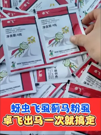 难打蚜虫蓟马飞虱粉虱就用卓飞 卓飞杀虫见效快，持效期长，轻松搞定难打蚜虫飞虱蓟马粉虱#杀虫剂 #打蚜虫 #打蚜虫最好的农药 #农资肥料 #杀蚜虫