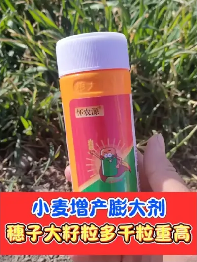 小麦增产膨大剂认准粮大侠，厂家大福利，下单就送生根剂#小麦 #农资肥料 #三农种植 #小麦高产技术 #小麦种植