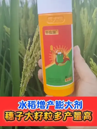 水稻增产膨大剂使用正当时 现在下单小黄瓶就送小黑瓶，厂家活动，抢#水稻种植 #水稻 #苄氨烷醇 #农资肥料 #农业种植