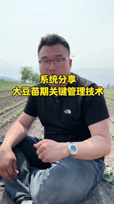 系统分析大豆苗期管理 接下来会用三个视频讲清楚大豆苗期的管理。1，大豆根系发育及根瘤的形成。2，大豆茎秆开裂的原因。3，如何正确的防治大豆跟腐病。#分享农业植保技术知识传播正能量 #农业技术分享 #关