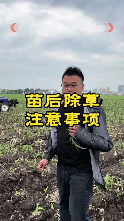 苗后除草注意事项有哪些 1，看叶龄。2，选对药。3，注意外界环境。