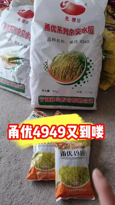 高产好吃甬优4949又到货喽 #甬优4949 #杂交水稻 #水稻种植 #水稻种子 #吴平农资
