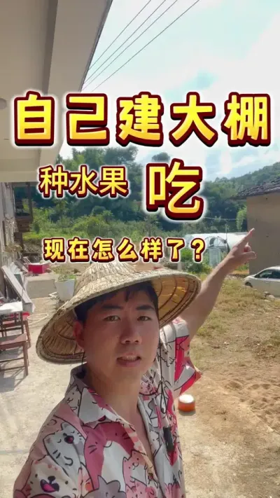 自己在家建大棚种水果吃，能成吗？来看看棚内的蓝莓长的怎么样了？这个季节，我们的蓝莓管理注意事项#盆栽蓝莓 #家庭种植 #盆栽果树 #种植小技巧 #内容启发搜索