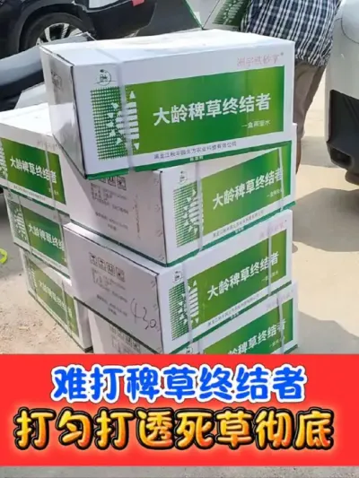 难打稗草就用铁砂掌 打匀打透打仔细彻底，死草烂根彻底#铁砂掌除草剂 #水稻 #水稻除草剂 #水稻种植 #农资肥料