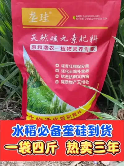 水稻必备天然垄硅已经到货 热卖三年的垄硅已经到货了，一袋4斤撒一亩地，水稻促蘖抗倒增产必备产品，厂价直销#水稻 #水稻种植 #硅肥 #垄硅 #农资肥料