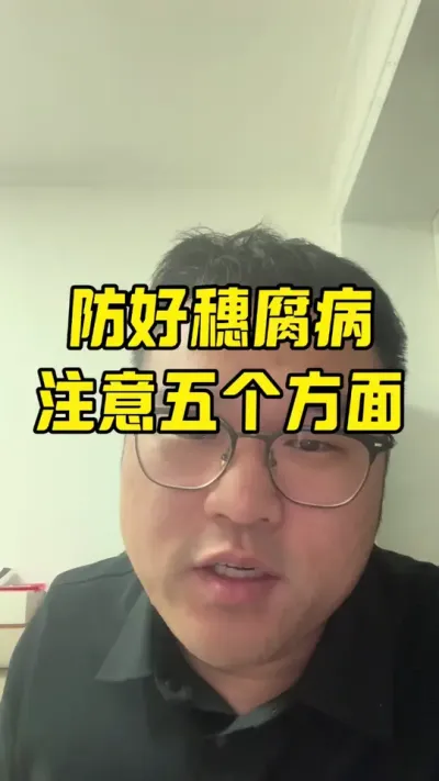 五个方面防好穗腐病 1，选种，适合积温。2，提高整地播种质量，筛种子。3，避免除草剂药害，增强植株免疫力。4，防虫。4，两遍杀菌剂降低田间病菌基数。#玉米种植技术 #玉米穗腐病 #农业技术推广