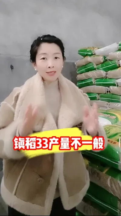 产量不一般就种镇稻33#水稻种植 #水稻种子 #水稻品种 #镇稻33 #农资肥料