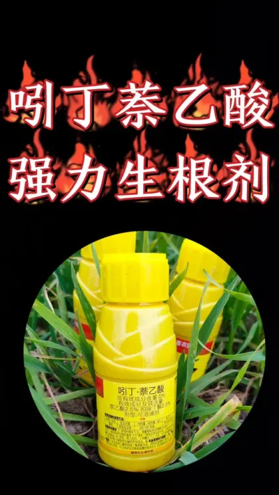 强力生根剂必选吲丁萘乙酸，一亩地只要一块钱#小麦 #农资经销 #农资肥料 #生根剂 #小麦种植