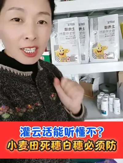 小麦土传死穗必须防 #小麦种植 #土传顺 #小麦