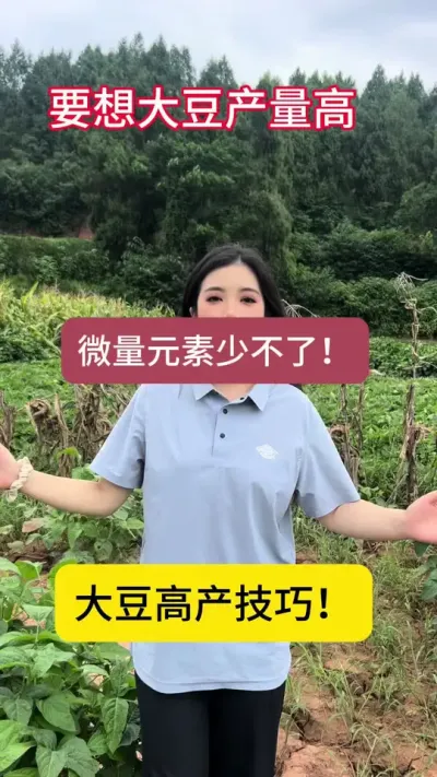要想大豆产量高，微量元素不可少！#三农 #种植技术