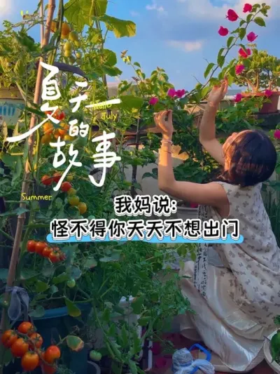 为了吃点自己种的菜租个老破小值得吗？小小露台种满了各类好吃的瓜果蔬菜🍅#阳台种植 #我的小菜园 #采摘 #番茄 #种植小技巧