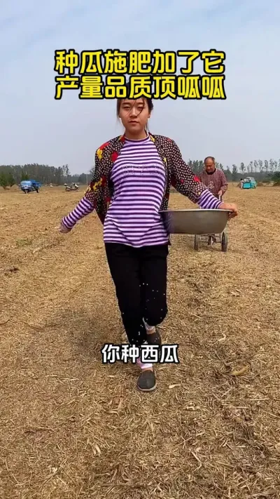 #西瓜种植#西瓜管理#西瓜施肥#西瓜高产