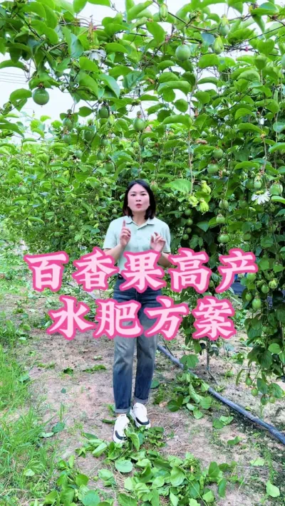 想要百香果高产，水肥方案一定要用对！#乡村守护人 #服务三农支持三农 #抖音助农 #百香果 #新农人计划 @抖音小助手 @DOU+小助手