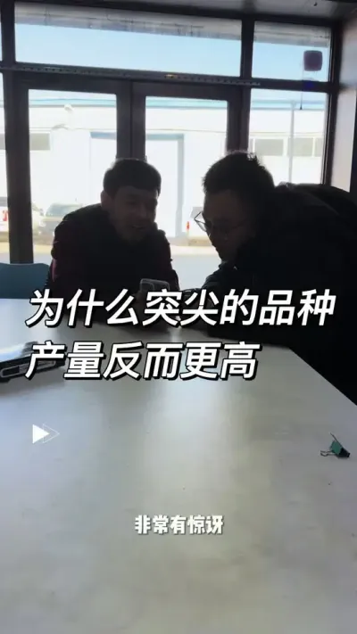 突尖的品种更具有增产潜力#知识科普 #农业知识科普 #种植经验分享