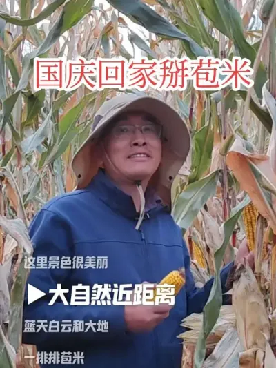 #国庆假期 #胡广生#掰苞米 为啥国庆假期哪也不去，就掰苞米。你知道吗？我来告诉你！
