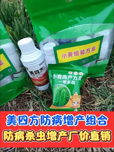 小麦田综合防治，美四方高端组合，厂价直销，防病杀虫增产一套全搞定#农资肥料 #小麦 #三农种植 #小麦种植 #小麦病虫害防治