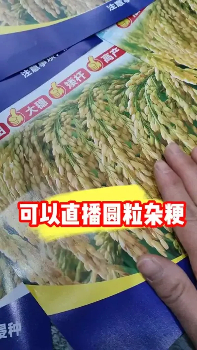 正宗圆粒洁田杂粳，能直播，能机插，能混播 #水稻种植 #水稻种子 #圆粒杂粳 #水稻 #农资肥料