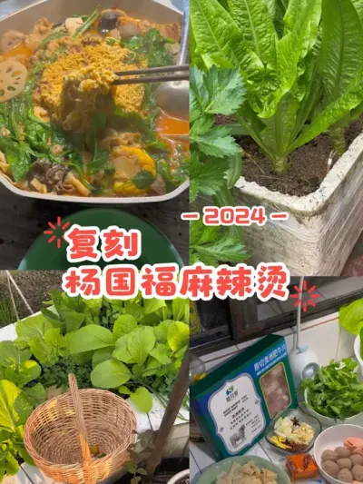 天赋的力量如此可怕？😱随随便便就被他复刻出来了？哼#阳台种菜 #爱生活爱养花 #日常 #杨国福麻辣烫 #麻辣烫