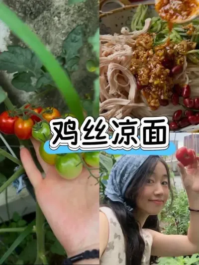 人为什么要为轻松的日子感到愧疚呢！我们本就是来享受生活的呀！#阳台种植 #种植小技巧 #种番茄 #日常vlog #鸡丝凉面