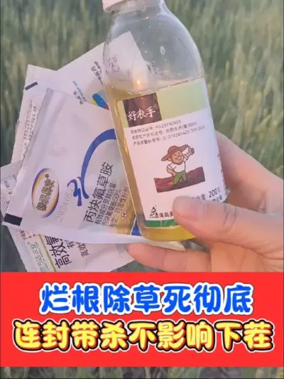 烂根灭生除草就用好农手组合 除草就选好农手，除草烂根彻底不反弹，不伤土壤随便种#农资肥料 #除草 #除草剂 #好农手 #农业种植