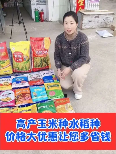 高产玉米种，高产水稻种，优惠到家，让您省钱，量大优惠#高产玉米种子 #高产玉米 #高产水稻种子 #水稻 #最新国审高产玉米种子