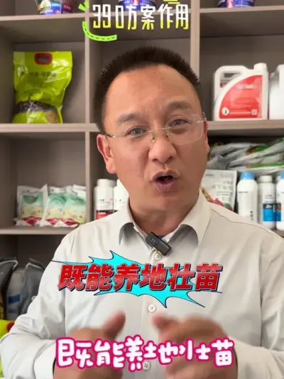 390方案既能养地又能壮苗！#农业 #文山农资 #文山铭鑫农业 #农业法哥
