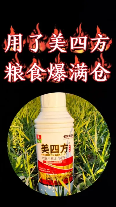 美四方功能型络合液态肥，促根壮苗抗寒抗旱，年底厂家活动，拍多送多，小麦油菜高产宝贝#农资肥料 #小麦 #三农种植 #水溶肥厂家 #小麦种植