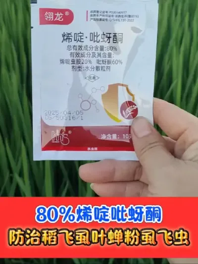 80%烯啶吡蚜酮防治稻飞虱 一亩不到两块钱，又防又杀水稻田稻飞虱，稻叶蝉#稻飞虱 #水稻种植 #水稻病害 #农资肥料 #吴平农资