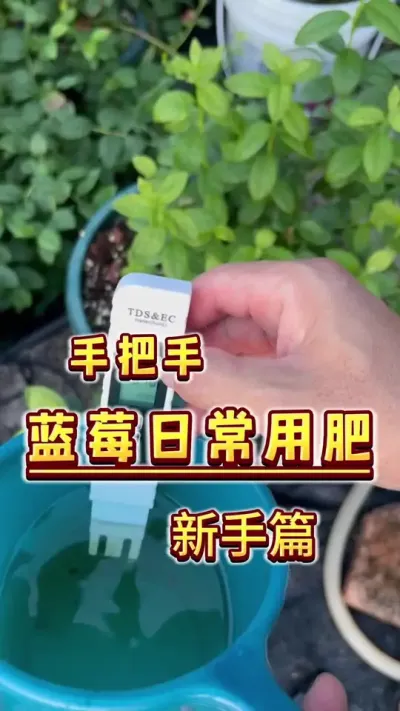 水溶肥蓝莓，葡萄无花果之类用肥应该用到多少？手把手使用水质检测笔用肥，使用一款低端小气不上档次但是便宜的水质检测笔，精确把握用肥浓度，避免烧根烧苗～#盆栽蓝莓 #盆栽葡萄 #水溶肥#楼顶果园 #种植小