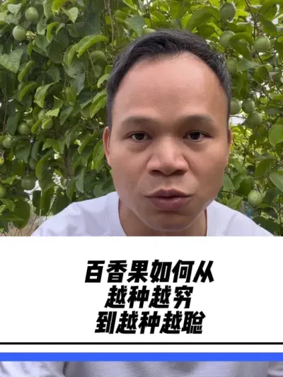 百香果如何从越种越穷到越种越聪#种百香果 #百香果种植技术