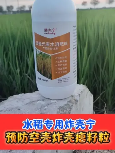 水稻必备防炸壳空壳瘪粒 一瓶十亩地，水稻增产必备#水稻种植 #水稻增产 #水稻 #农资肥料 #农业种植