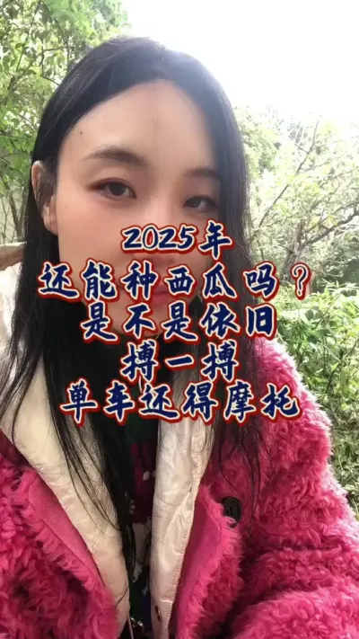 #西瓜种植#西瓜管理 #市场行情